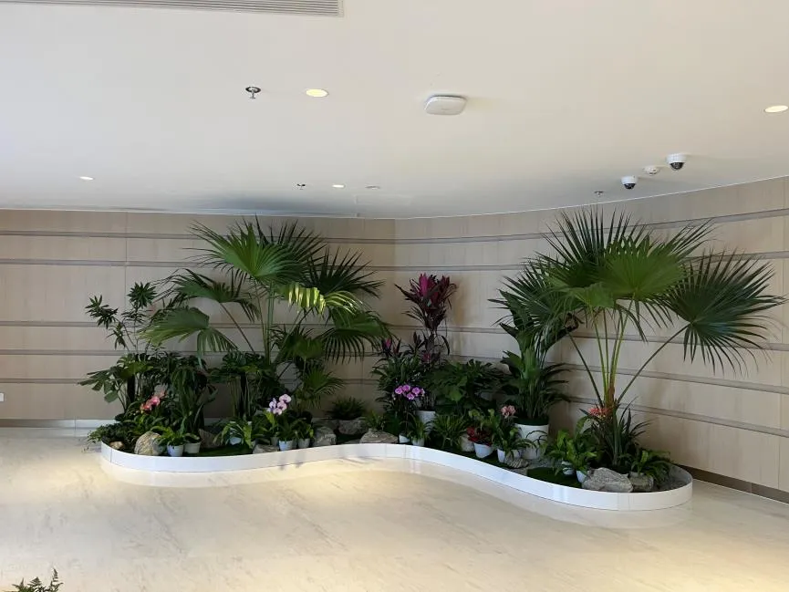 宁波余姚花木租摆，实惠之约等你来赴